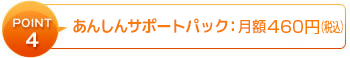 Point4：メンテナンス料金：5,250円（1年更新）